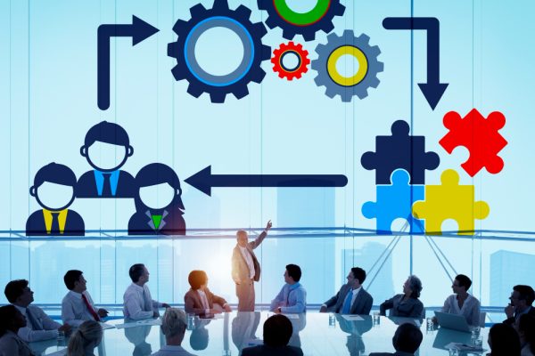 image for professional growth and capacity building